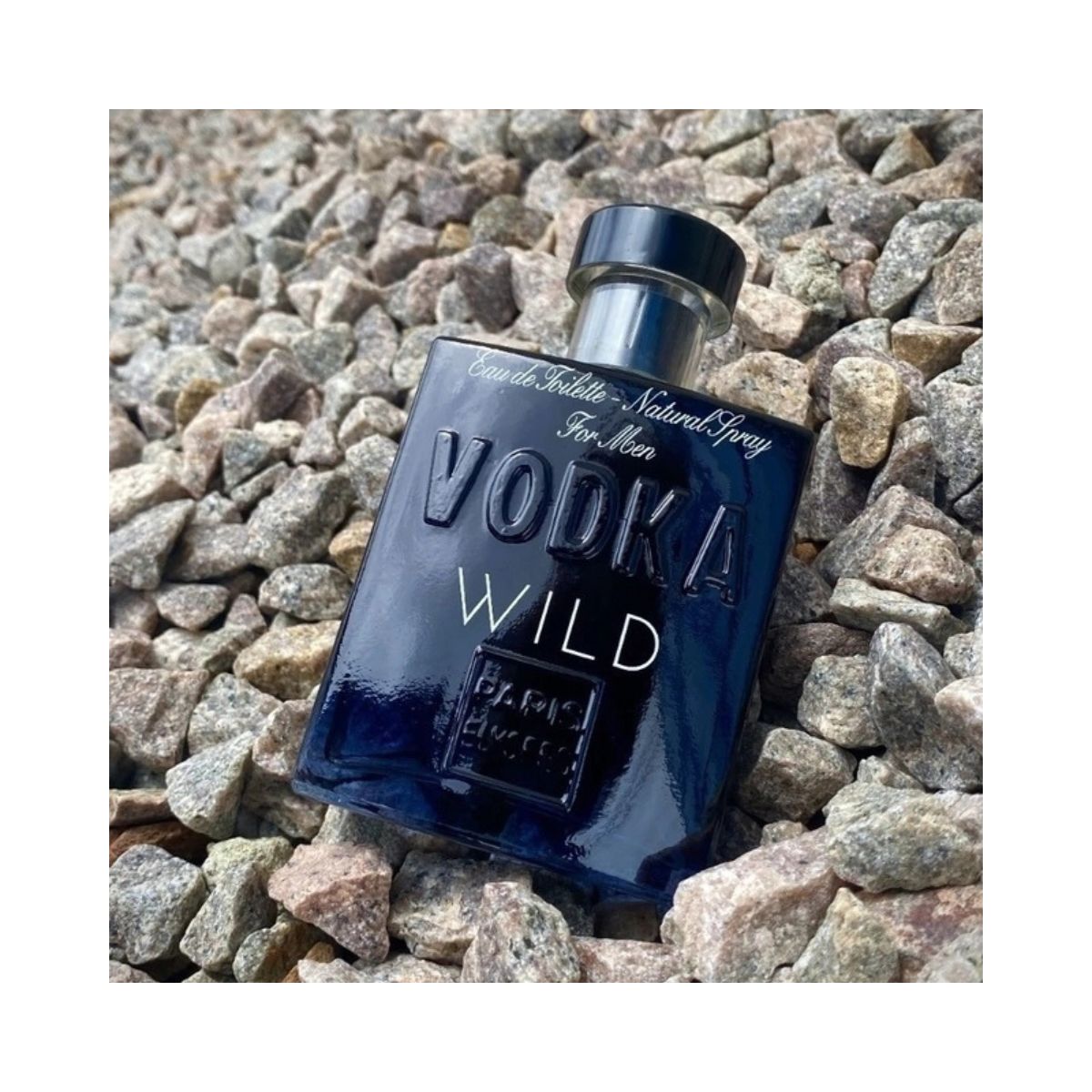EDT PARIS ELYSEES MASCULINO VODKA WILD 100ML