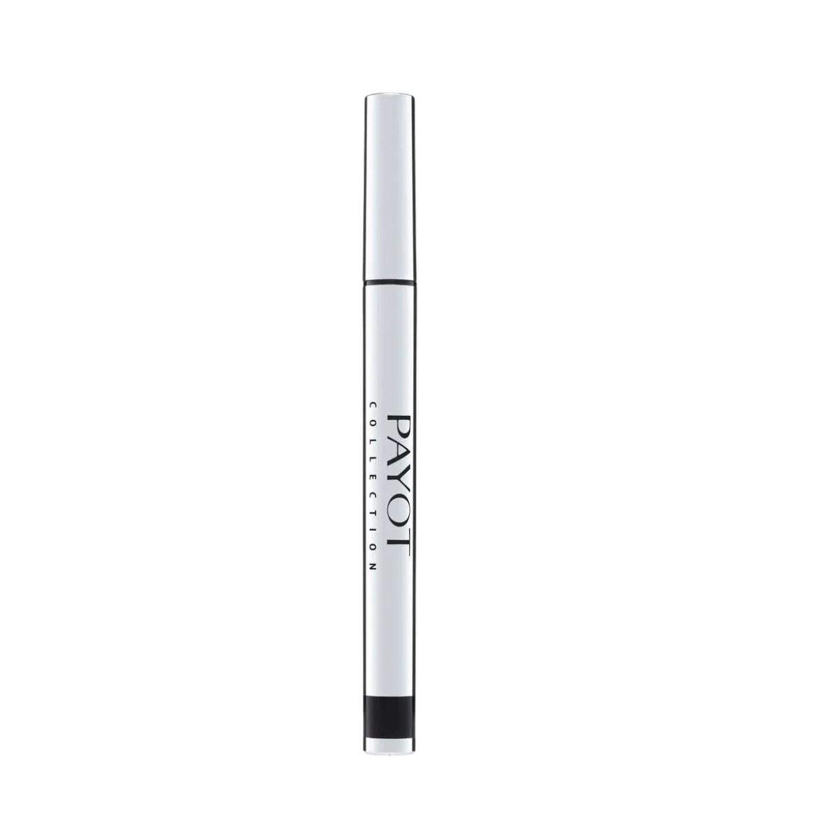 CANETA DELINEADORA SILVER PRETA PAYOT 6G