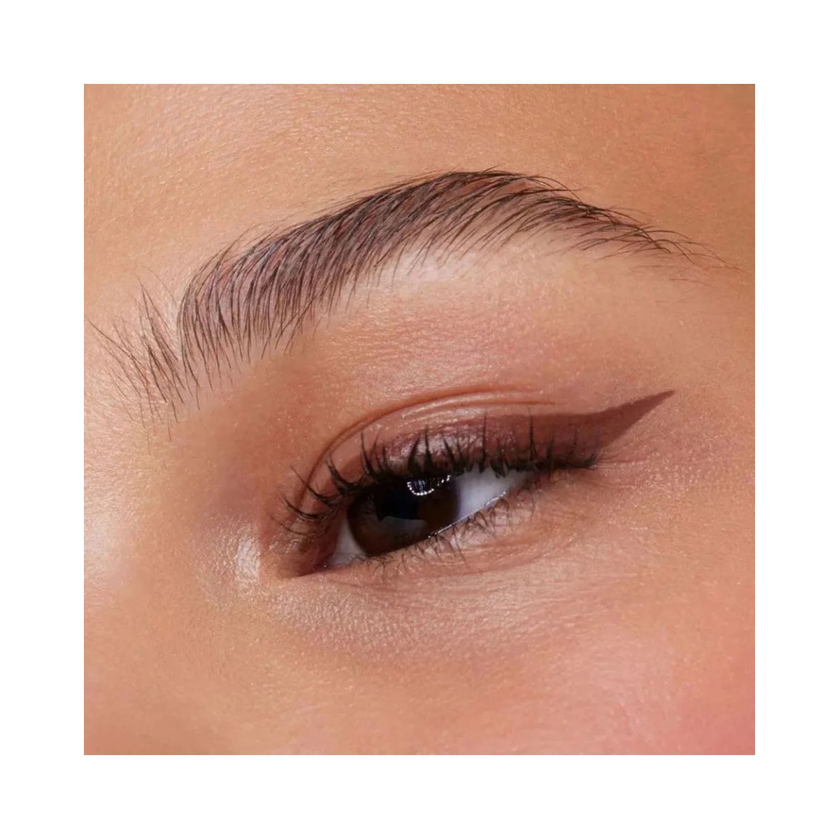 CANETA DELINEADORA SILVER MARROM PAYOT 6G