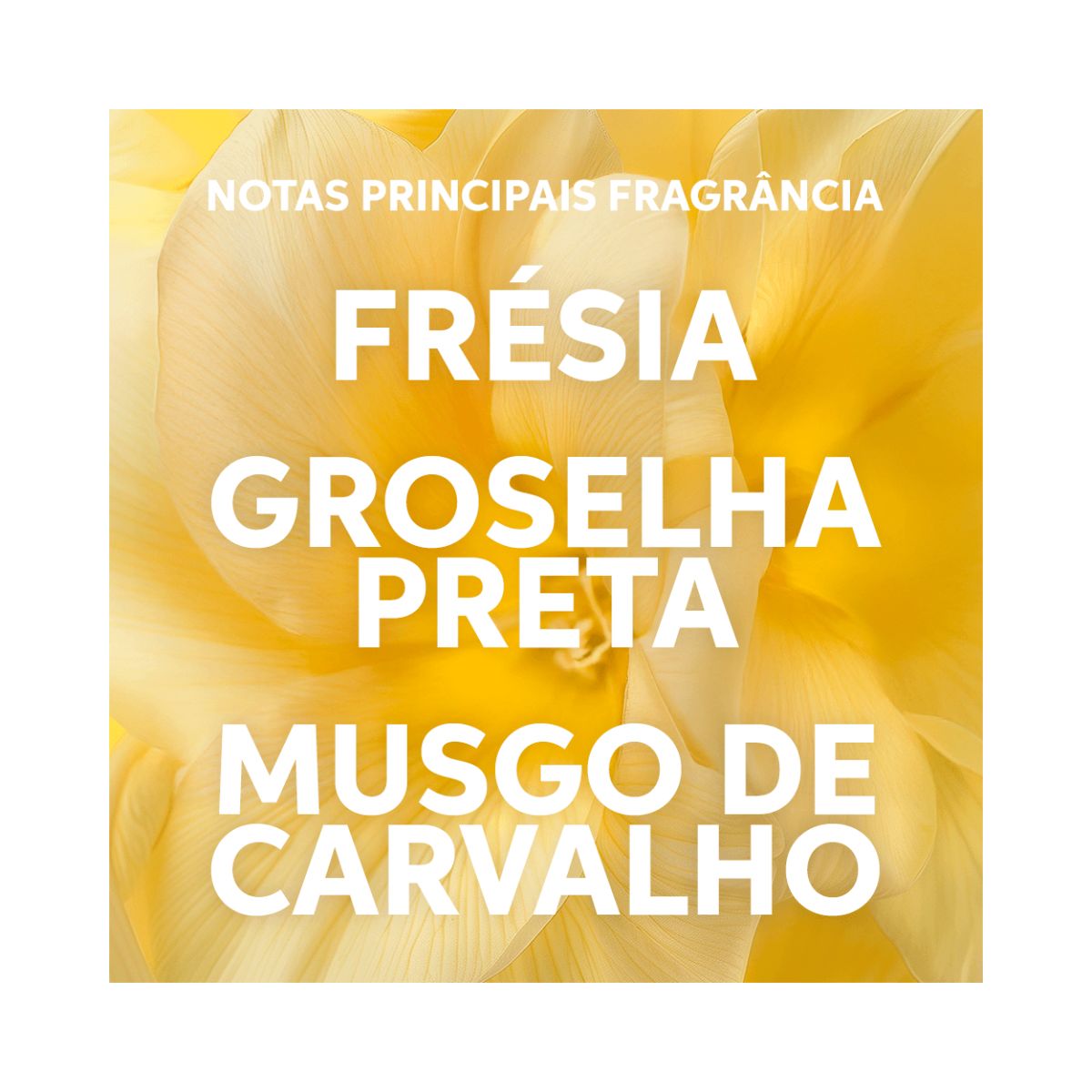 SHAMPOO NUTRICURLS WELLA PROFISSIONALS 250ML