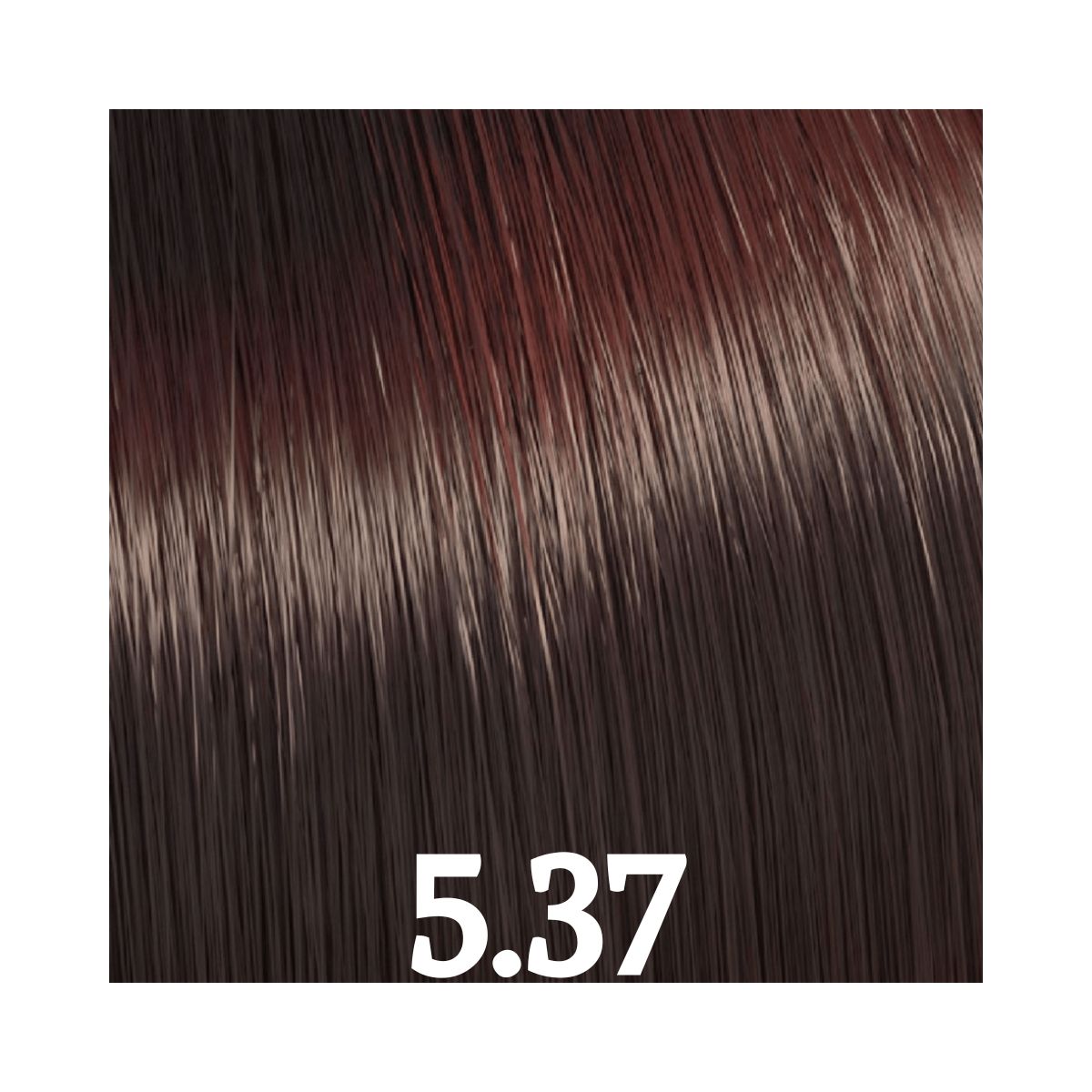 TONALIZANTE COLOR TOUCH 5/37 CASTANHO CLARO DOURADO MARROM WELLA PROFISSIONALS 6