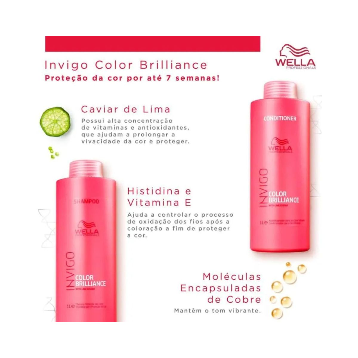 KIT WELLA PROFISSIONALS COLOR BRILLIANCE SHAMPOO 1 LITRO + CONDICIONADOR 1 LITRO