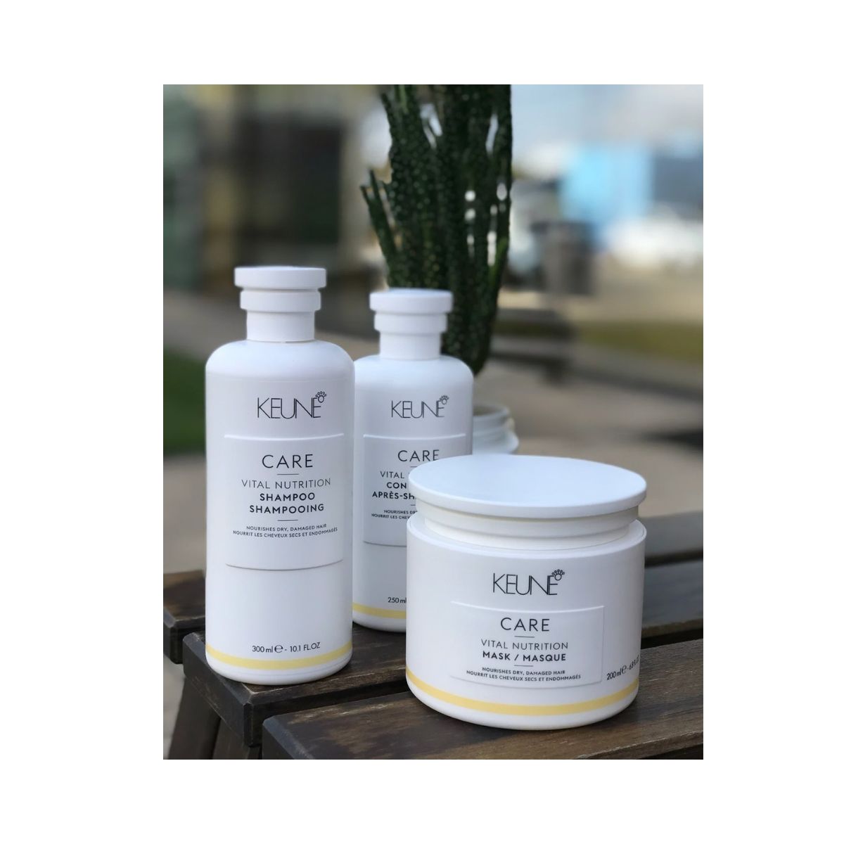 KIT KEUNE VITAL NUTRITION TRIO PEQUENO