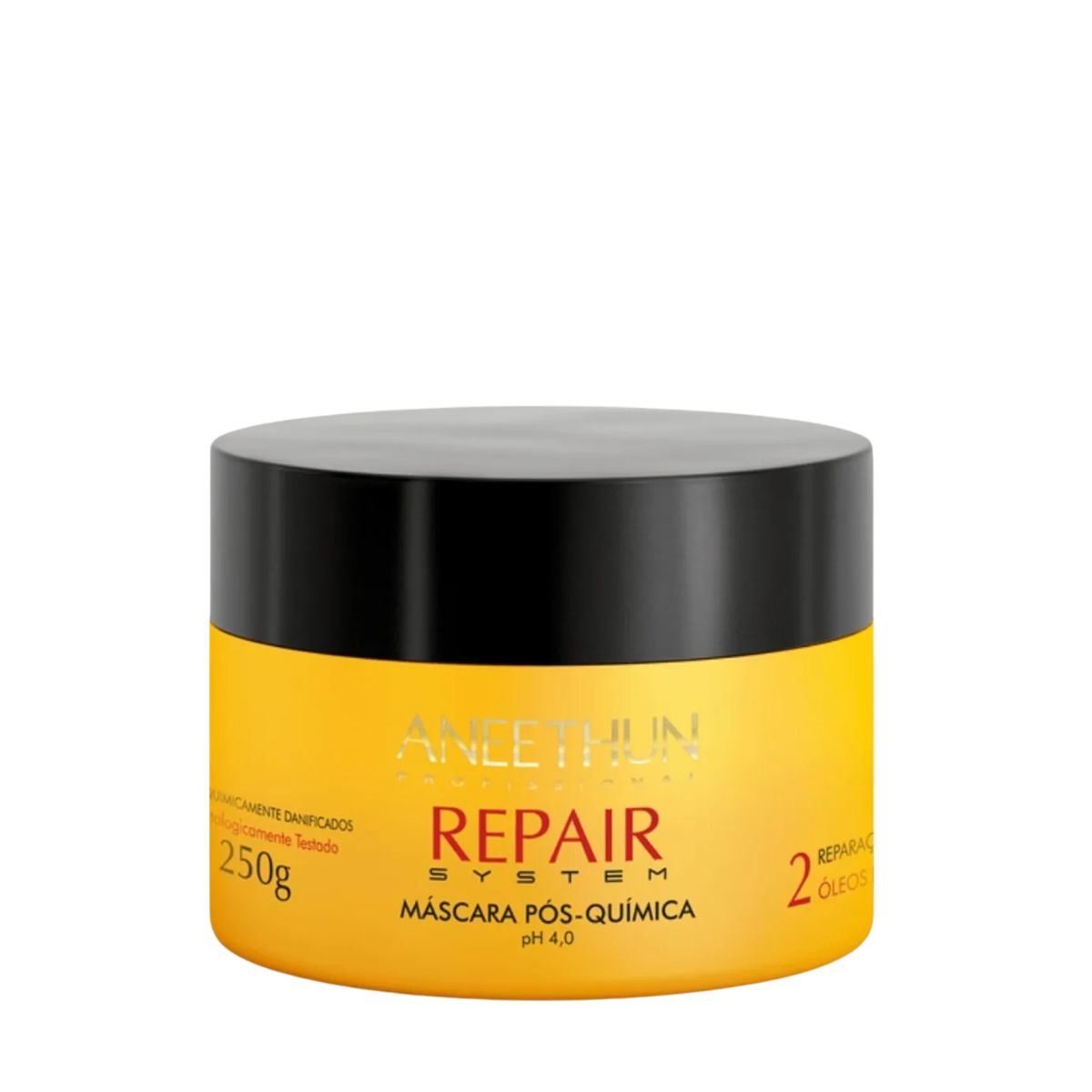 MÁSCARA PÓS-QUÍMICA REPAIR SYSTEM ANEETHUN 250G