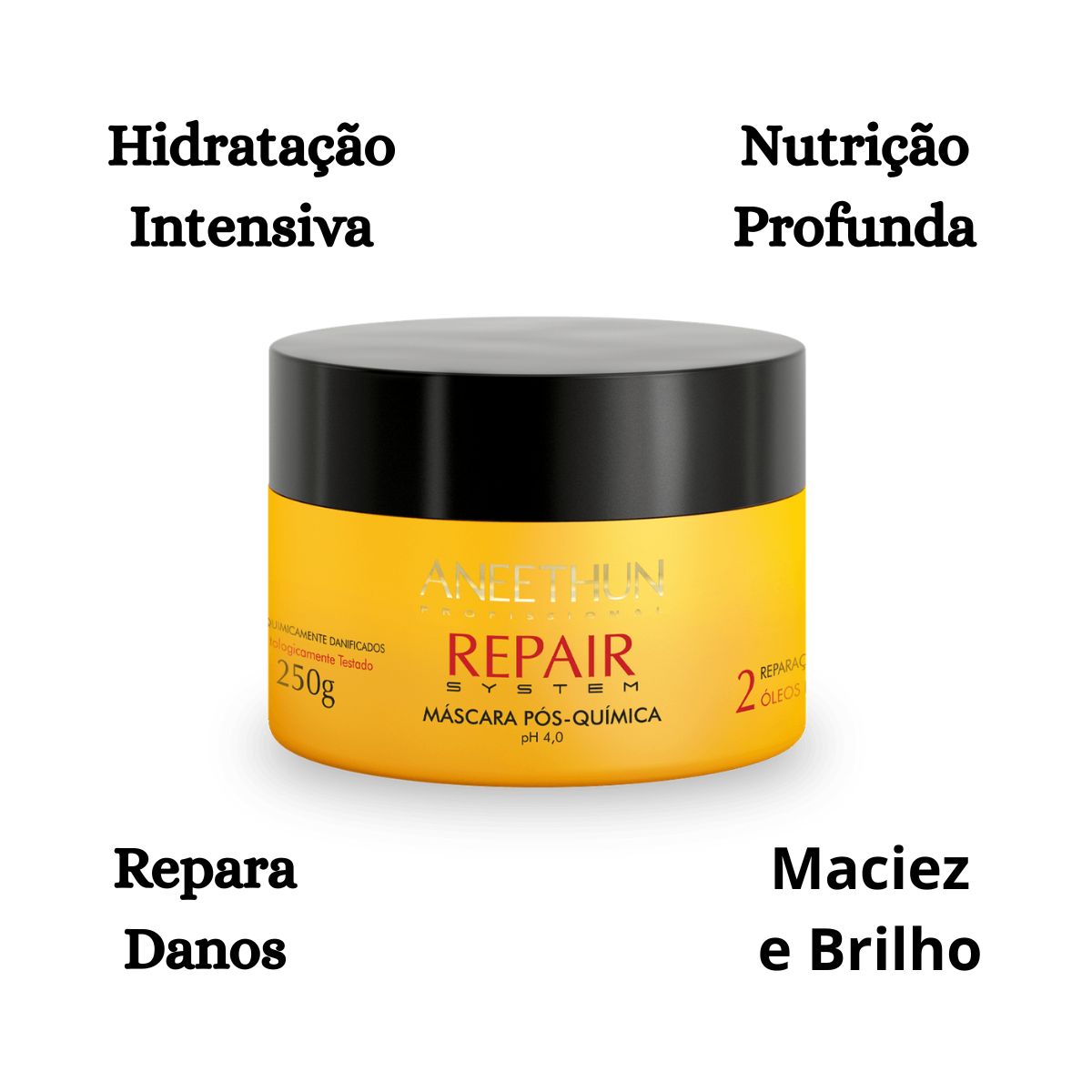MÁSCARA PÓS-QUÍMICA REPAIR SYSTEM ANEETHUN 250G