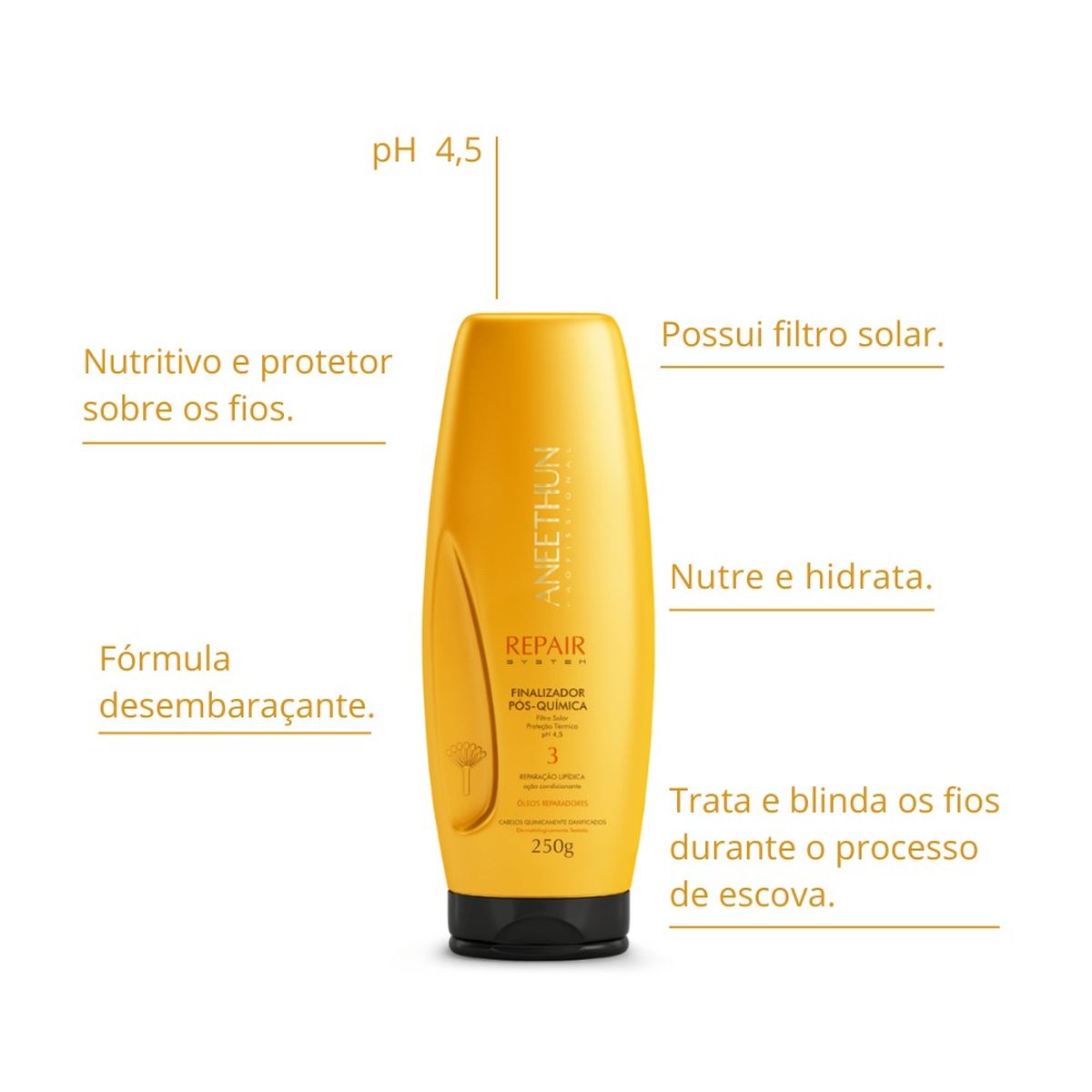 FINALIZADOR PÓS-QUÍMICA REPAIR ANEETHUN 250G