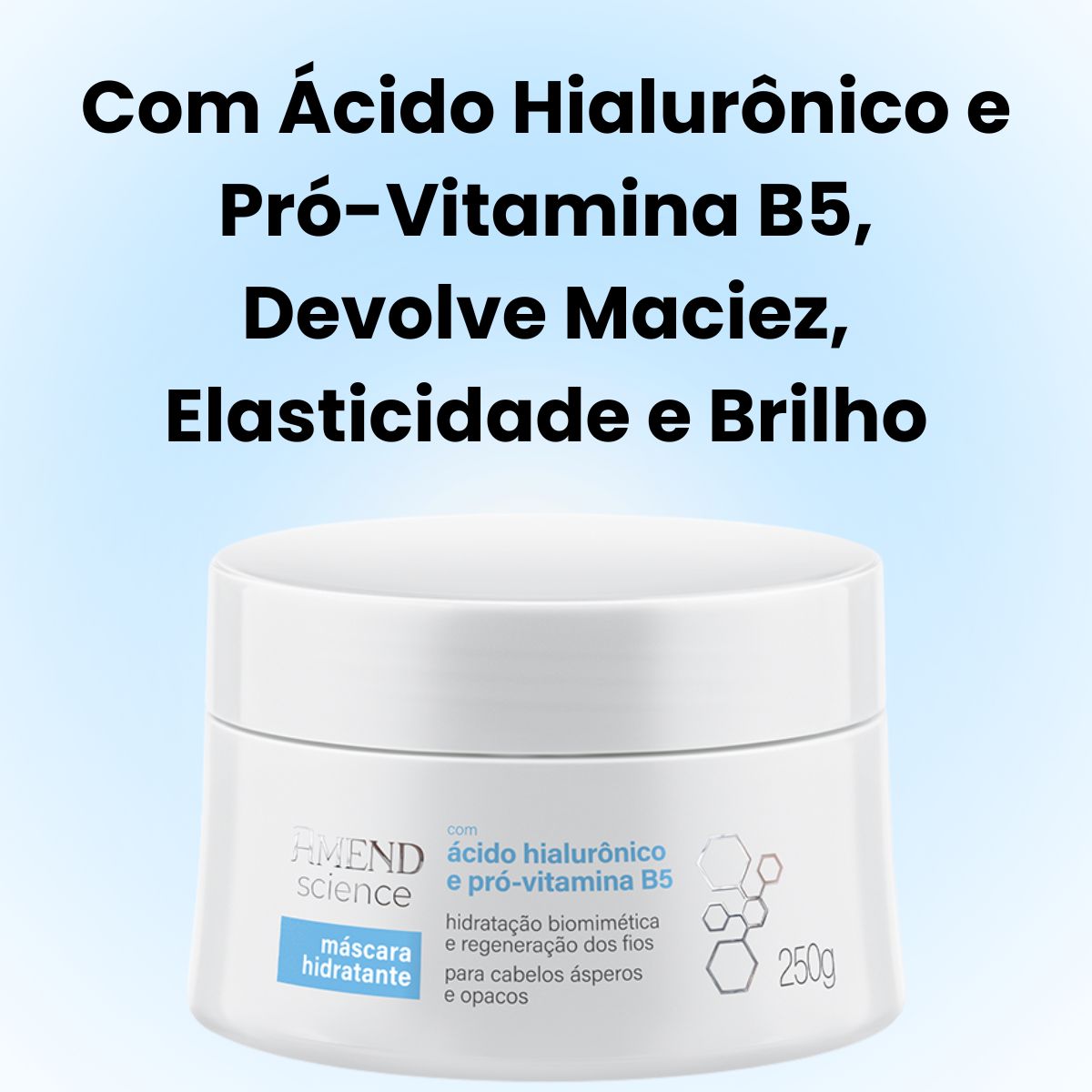 MÁSCARA HIDRATANTE COM ÁCIDO HIALURÔNICO E PRÓ-VITAMINA B5 SCIENCE AMEND 250GR