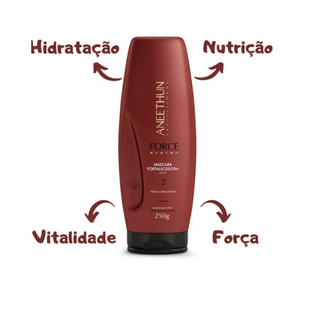 MASCARA FORCE SYSTEM ANEETHUN 250G