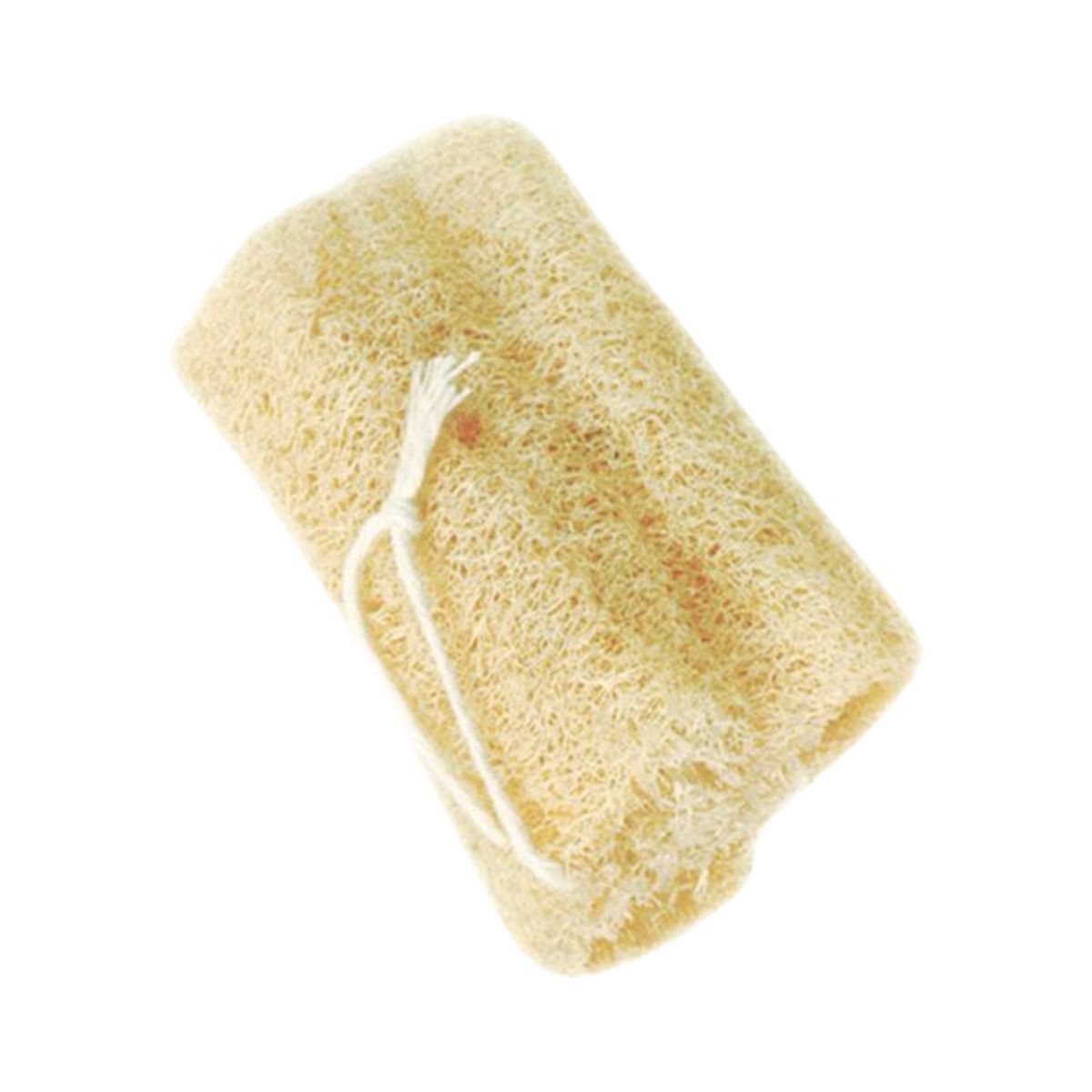 BUCHA RASKALO VEGETAL 5003