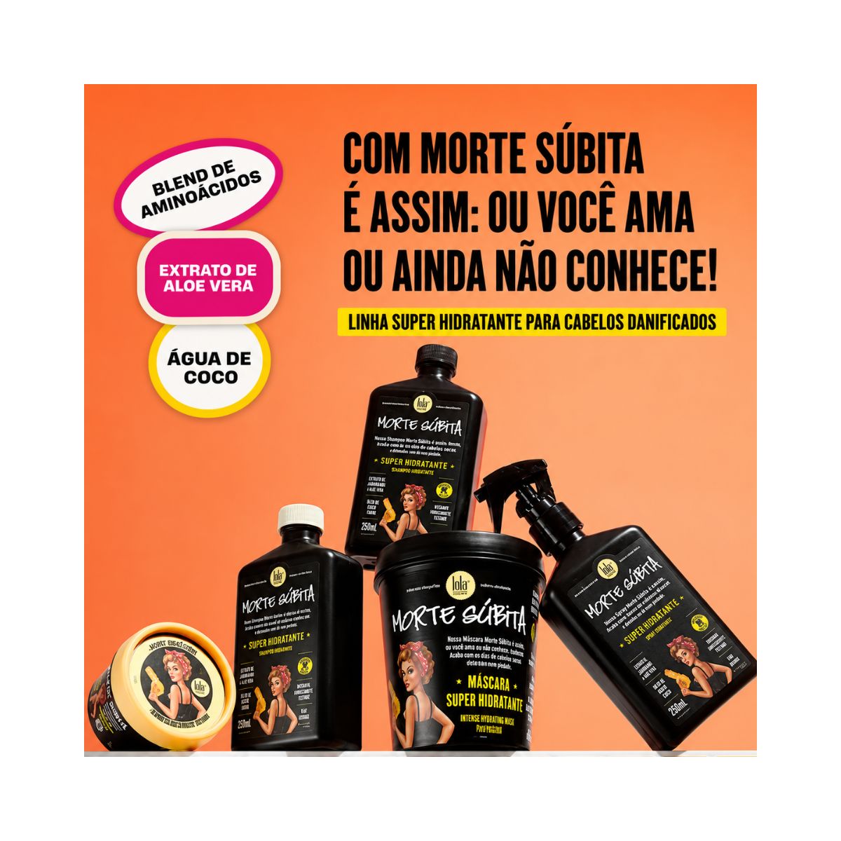 KIT LOLA SPRAY MORTE SÚBITA REPARAÇÃO TOTAL 250ML + ACESSÓRIO SORTIDO