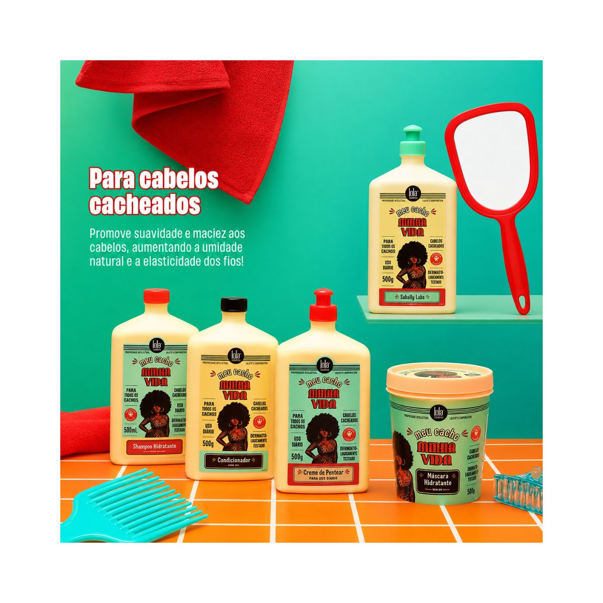 KIT LOLA CREME DE PENTEAR MEU CACHO MINHA VIDA 500G + ACESSORIO SORTIDO