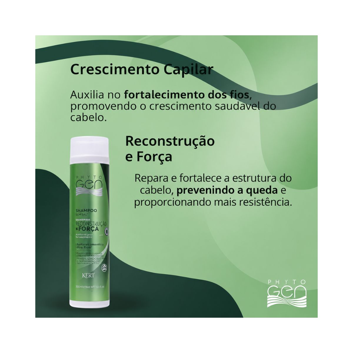 SHAMPOO ANTIQUEDA PHYTOGEN KERT 300ML