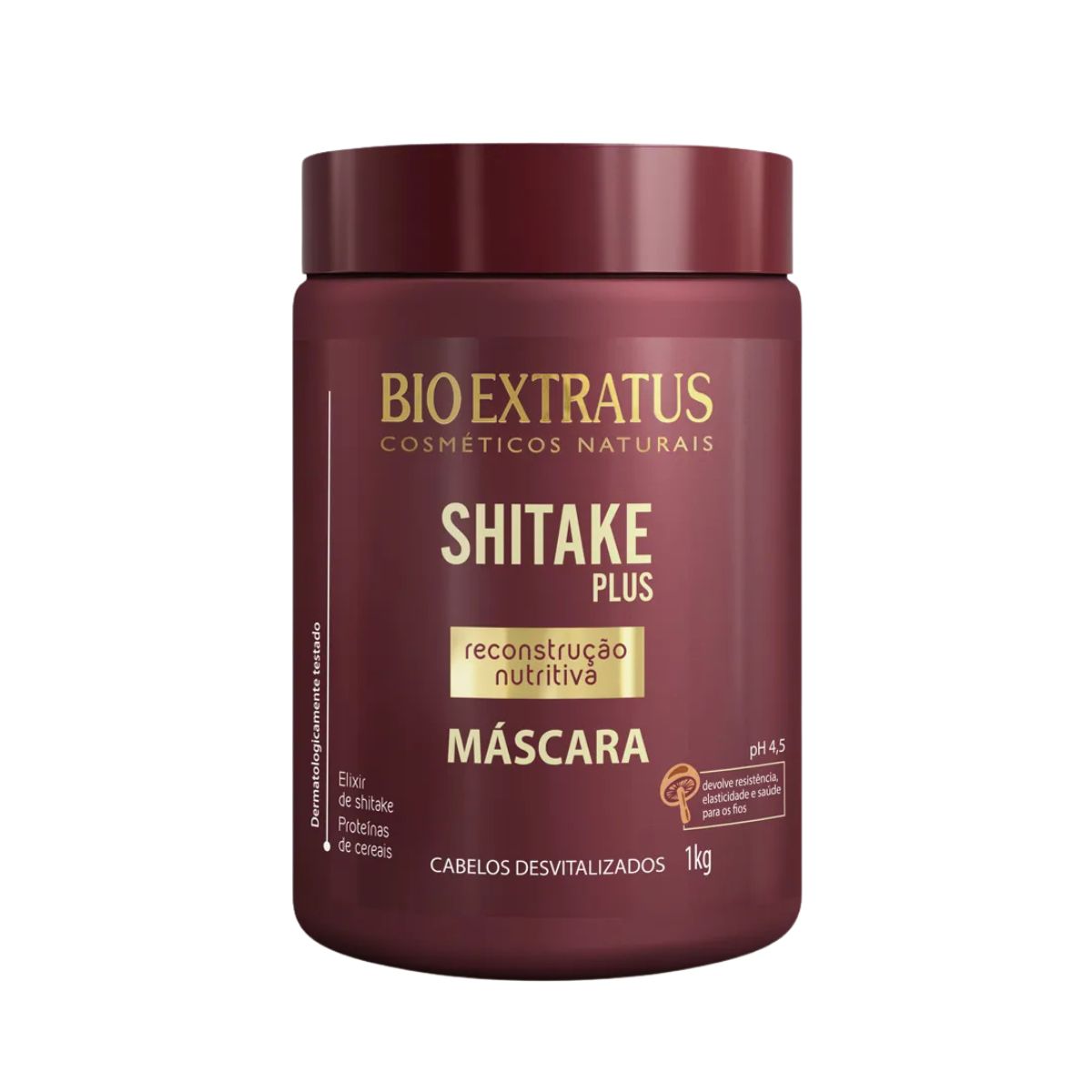 MÁSCARA DE HIDRATAÇÃO SHITAKE BIO EXTRATUS 1KG