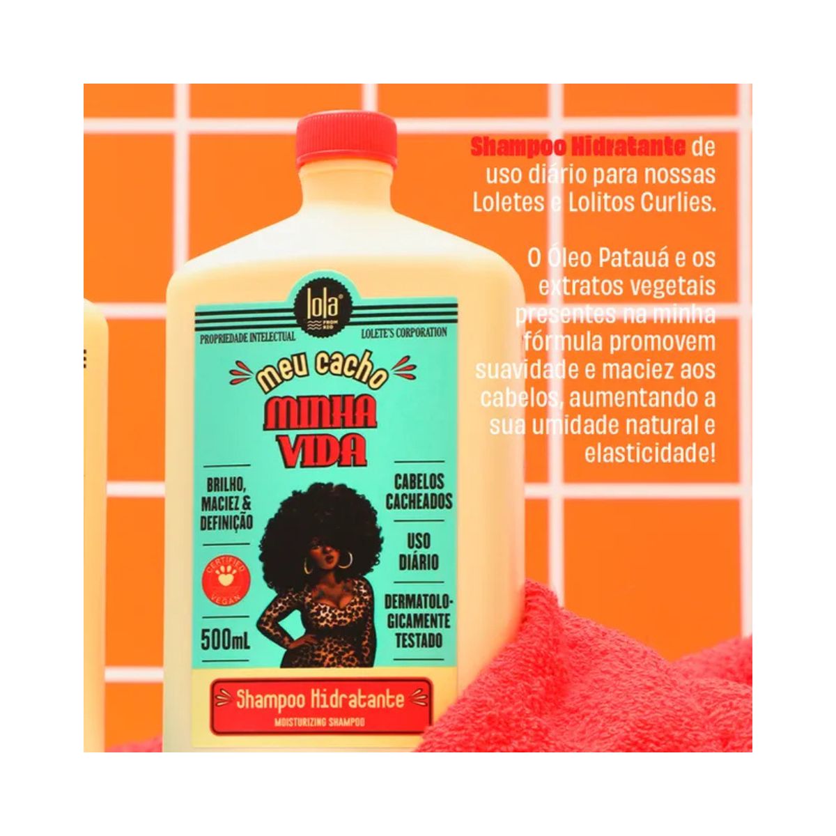SHAMPOO MEU CACHO MINHA VIDA LOLA COSMETICS 500ML