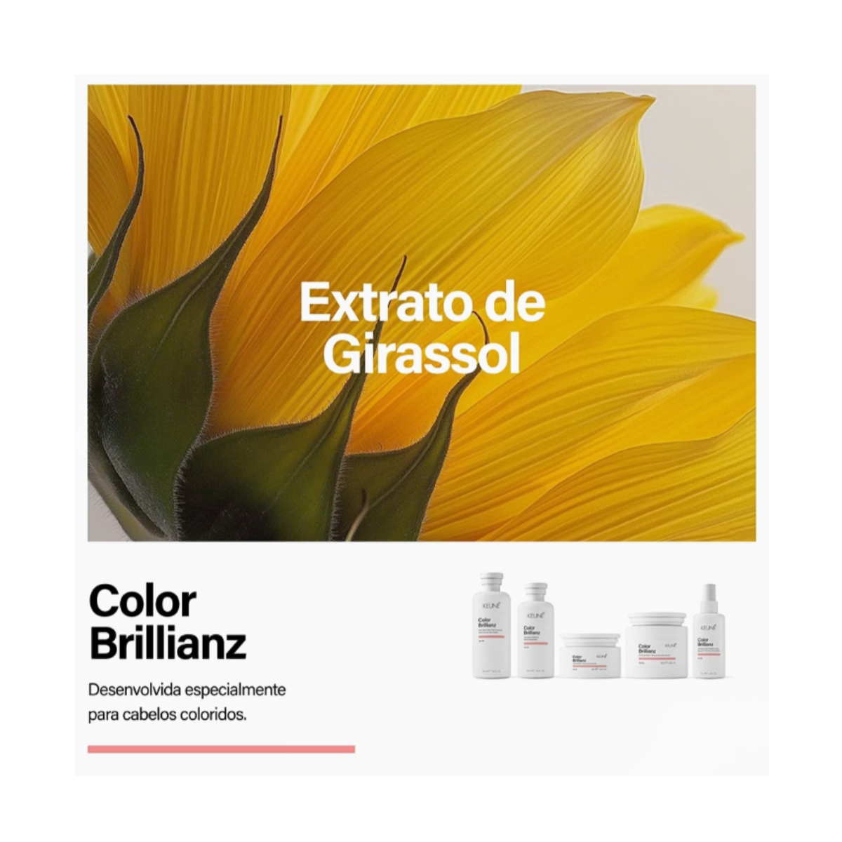 SHAMPOO COLOR BRILLIANZ KEUNE 1L